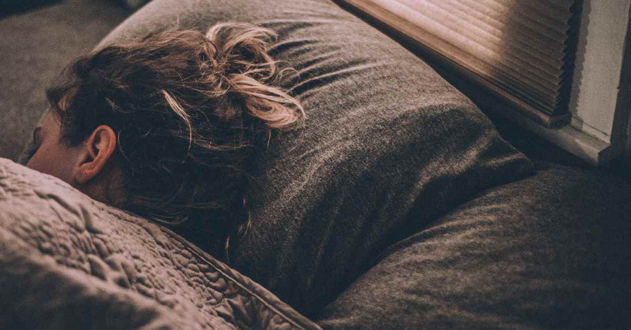 Snooze Button: Why Do We Sleep?